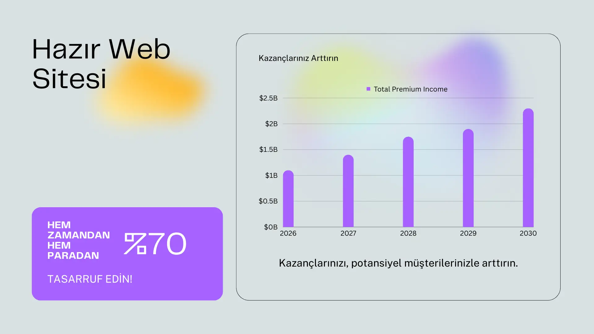 Hazır Web Sitesi